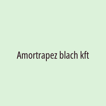 Amortrapez blach kft - Logotip