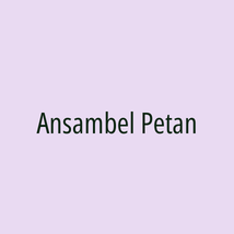 Ansambel Petan - Logotip