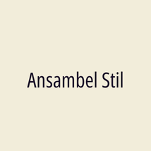 Ansambel Stil - Logotip