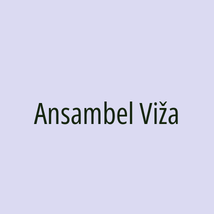 Ansambel Viža - Logotip