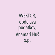 AVEKTOR, obdelava podatkov, Anamari Huš s.p. - Logotip