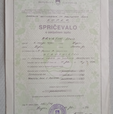 Avtomehanika Elvis Hrvatin s.p - Logotip