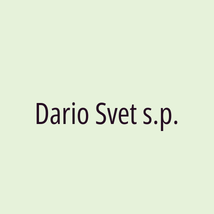 Dario Svet s.p. - Logotip