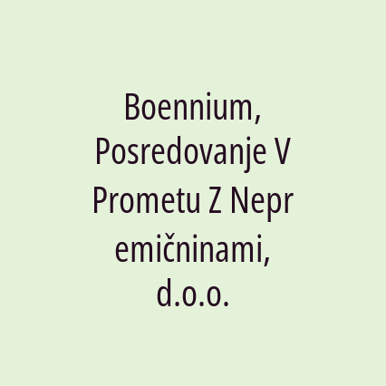 Boennium, Posredovanje V Prometu Z Nepremičninami, d.o.o. - Logotip