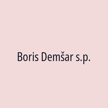 Boris Demšar s.p. - Logotip