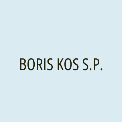 BORIS KOS S.P. - Logotip