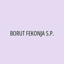 BORUT FEKONJA S.P. - Logotip