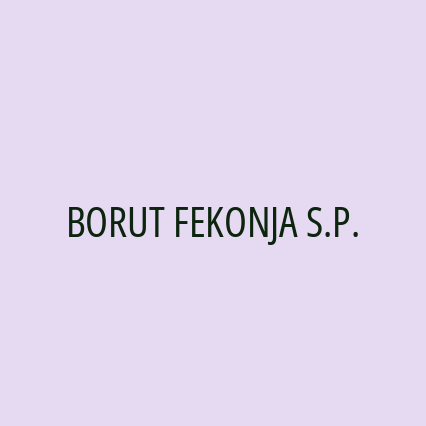 BORUT FEKONJA S.P. - Logotip