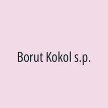 Borut Kokol s.p. - Logotip