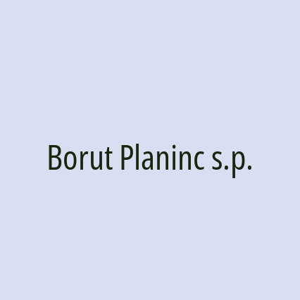 Borut Planinc s.p. - Logotip