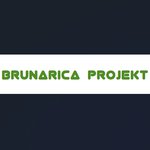 Brunarica Projekt - Logotip