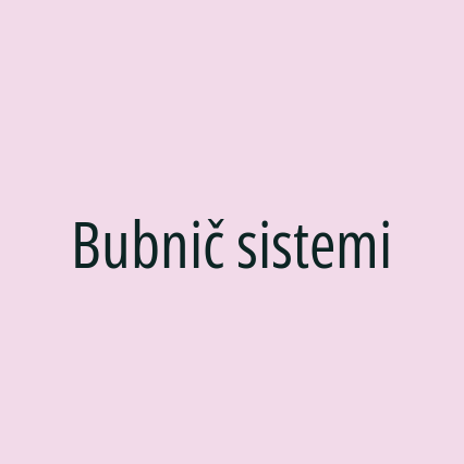 Bubnič sistemi - Logotip