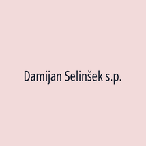 Damijan Selinšek s.p. - Logotip