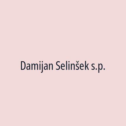 Damijan Selinšek s.p. - Logotip