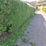 Danijel Černej s.p. - Logotip