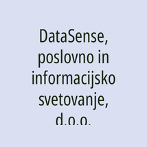 DataSense, poslovno in informacijsko svetovanje, d.o.o. - Logotip