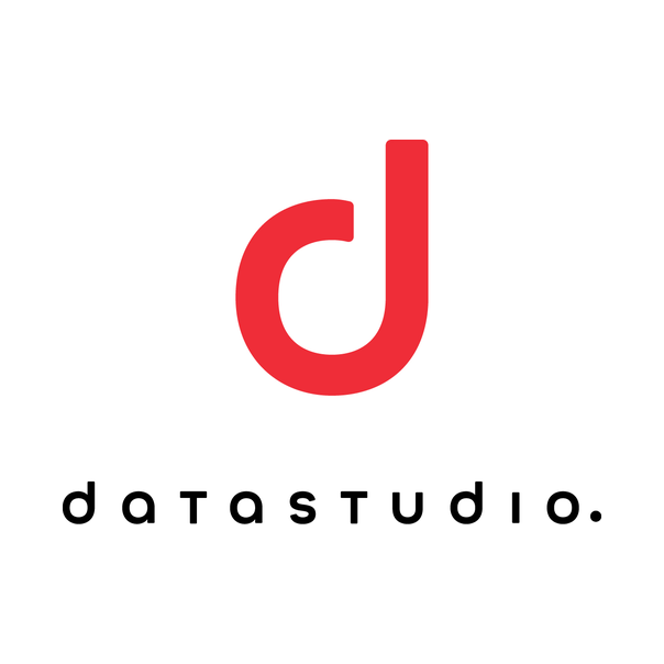 Datastudio d.o.o. - Logotip