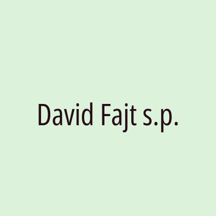 David Fajt s.p. - Logotip