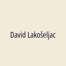 David Lakošeljac - Logotip