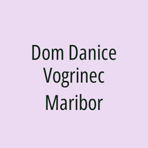 Dom Danice Vogrinec Maribor - Logotip