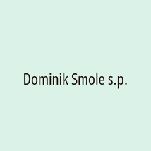 Dominik Smole s.p. - Logotip