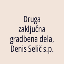 Druga zaključna gradbena dela, Denis Selič s.p. - Logotip