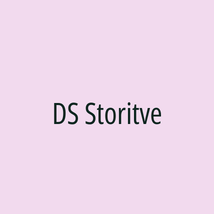 DS Storitve - Logotip