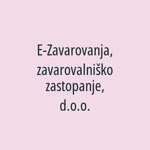 E-Zavarovanja, zavarovalniško zastopanje, d.o.o. - Logotip