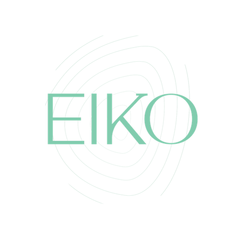 Eiko d.o.o. - Logotip