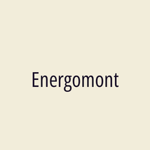 Energomont - Logotip