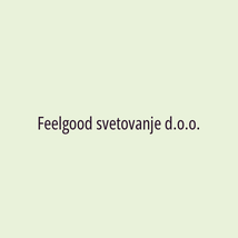 Feelgood svetovanje d.o.o. - Logotip