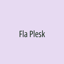 Fla Plesk - Logotip