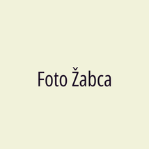 Foto Žabca - Logotip