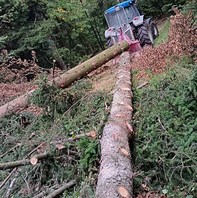 Gozdarstvo joco jože kermavnar sp - Logotip