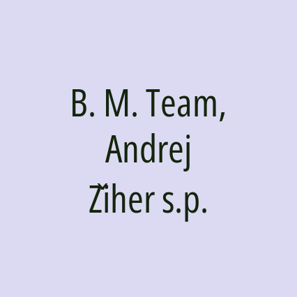 B. M. Team, Andrej Žiher s.p.