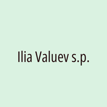 Ilia Valuev s.p. - Logotip