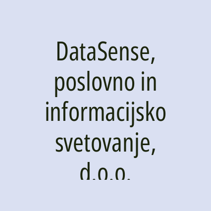 DataSense, poslovno in informacijsko svetovanje, d.o.o.