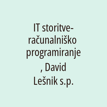 IT storitve-računalniško programiranje, David Lešnik s.p. - Logotip