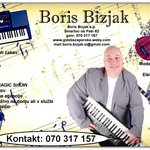Izobraževanje in umetniška dejavnost, Boris Bizjak s.p. - Logotip