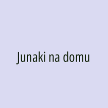 Junaki na domu - Logotip