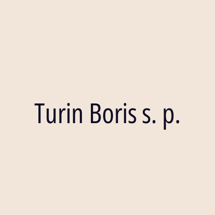 Turin Boris s. p.