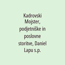Kadrovski Mojster, podjetniške in poslovne storitve, Daniel Lapu s.p. - Logotip