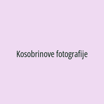Kosobrinove fotografije - Logotip
