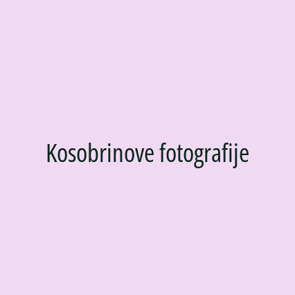 Kosobrinove fotografije - Logotip