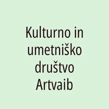 Kulturno in umetniško društvo Artvaib - Logotip