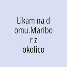 Likam na domu.Maribor z okolico - Logotip