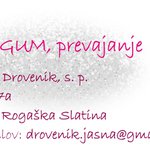 Lingum, prevajanje, Jasna Drovenik, s.p. - Logotip