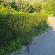 Matevž Arzenšek s.p. - Logotip