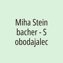 Miha Steinbacher - Sobodajalec - Logotip