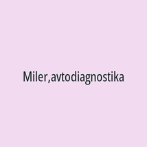 Miler,avtodiagnostika - Logotip